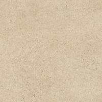 Płyta Tarasowa Authority Beige Struktura 20 mm Mat 59,5x59,5