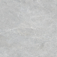 Distinct White Silky Cristal 59,7x59,7x0,8