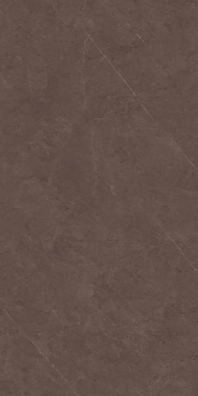 U123 Taupe Poler 60x120