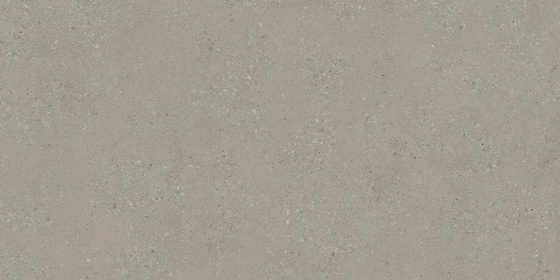 SGR2222 Voyager Taupe 60x120x2