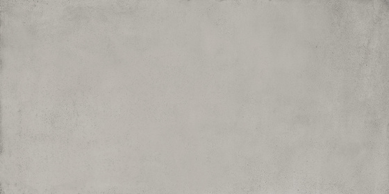 Appeal Grey 60x120