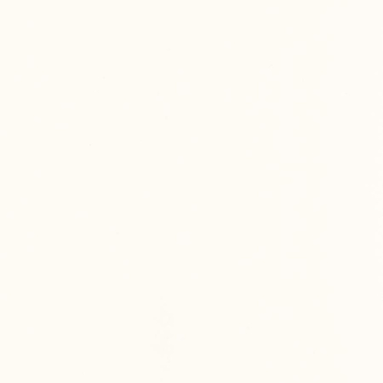 Gamma Bianco Polysk 9,8x19,8