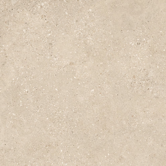 SGR2012 Voyager Taupe Town 60x60