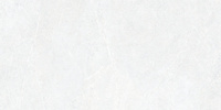 Distinct Ice 119,7x59,7x0,8