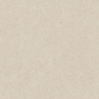Mantigo Beige Mat 119,8x119,8