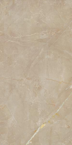 Elegant Look Beige Mat 59,8x119,8