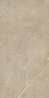 Elegant Look Beige Mat 59,8x119,8