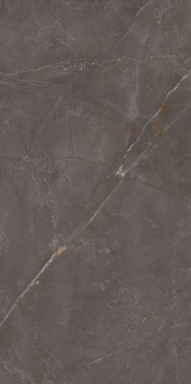 Elegant Look Brown Mat 59,8x119,8