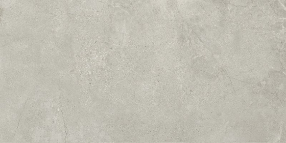 Infinity Light Grey Mat 59,8x119,8