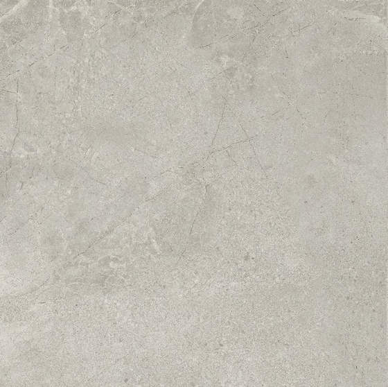 Infinity Light Grey Mat 59,8x59,8