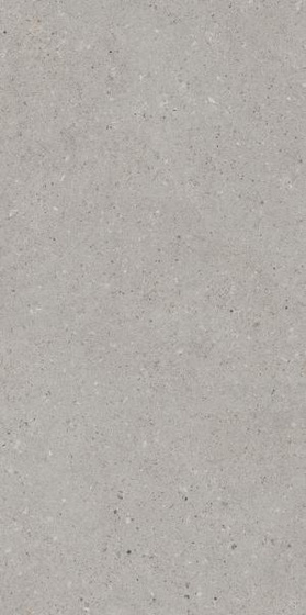 Architeq Grain Light Grey Mat 59,8x119,8