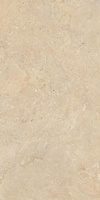 Fortess Cross Beige Mat 59,8x119,8