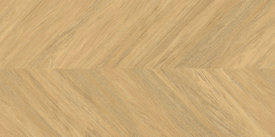 SGR3811 Lara Rett 60x120