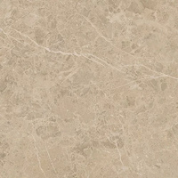 Archicross Stone Beige Mat 59,8x59,8