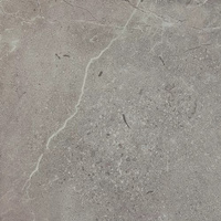 Archicross Concrete Grey Mat 59,8x59,8