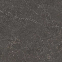 Archicross Stone Black Mat 59,8x59,8