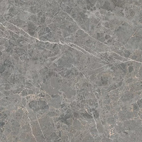 Archicross Stone Grey Mat 59,8x59,8