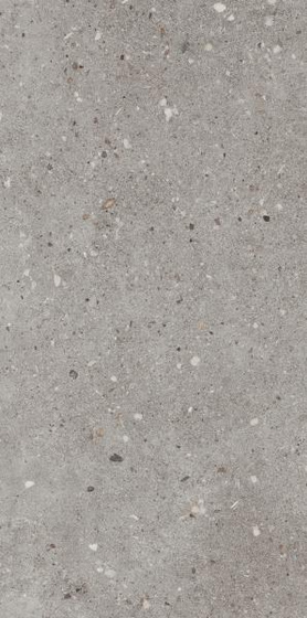 Cavir Grey Mat 29,8x59,8