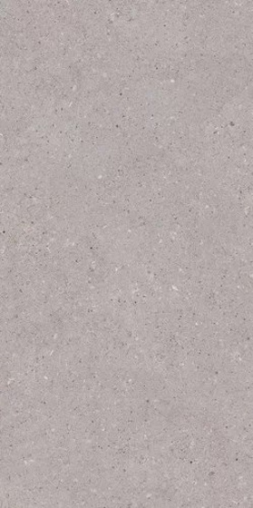 Architeq Grain Light Grey Mat 59,8x119,8