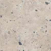 Architeq Rock Beige Mat 119,8x119,8
