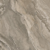 Generous Taupe Półpoler 119,8x119,8