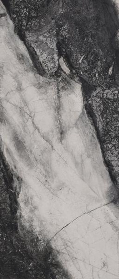 Deus Symphony Black Poler 119,8x279,8