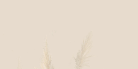 Natural Grass Obraz Gresowy E 59,8x119,8