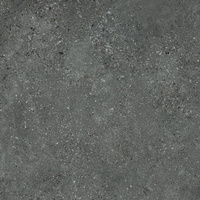 SGR2162 Voyager Graphit Town 120x120