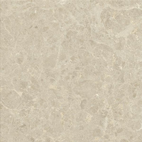 Archicross Stone White Struktura Mat A 59,8x59,8