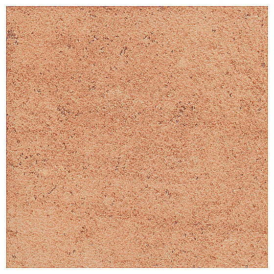 Ariza Brown 10x10