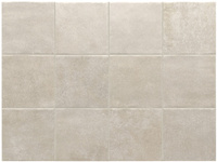Stage Taupe 10x10