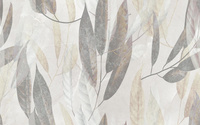 Ccr 1681 Evita Decor 25x40