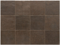Stage Brown 10x10