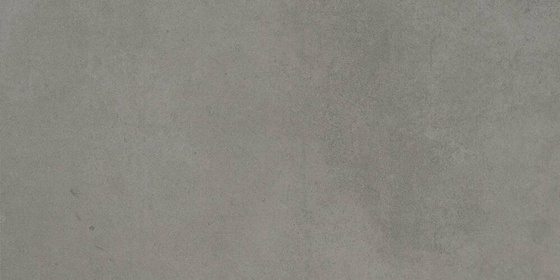 Dixieland Grey Rett 30x60