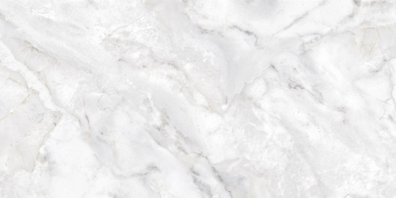 Niebla Polished 59x119