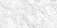 Niebla Polished 59x119