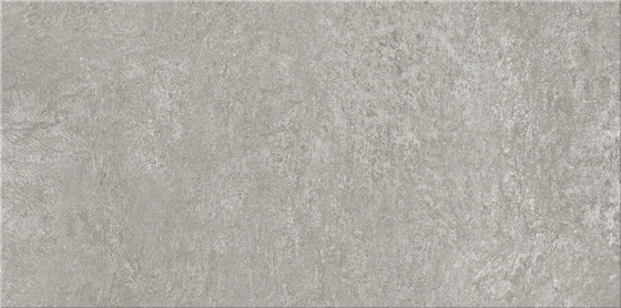 Monti Light Grey 29,7x59,8