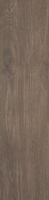 Płyta Tarasowa Willow Ochra Struktura 2.0 Mat 29,5x119,5
