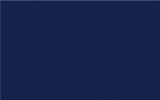 PS216 Blue 25x40