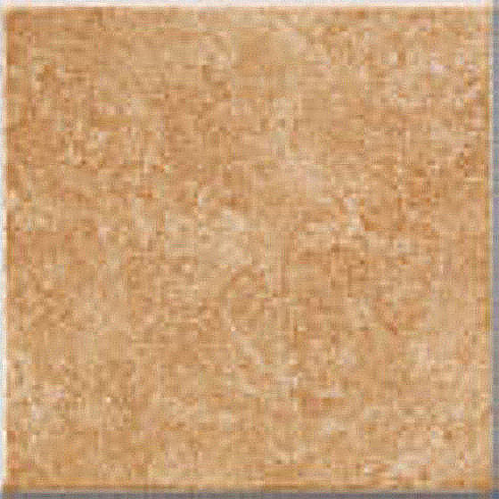 PS Gwinea Brąz 10x10