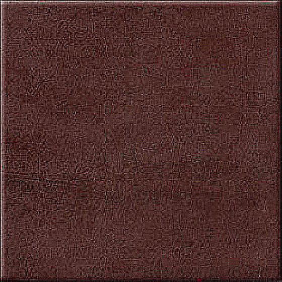 Salisa Brown 10x10
