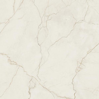 Limaro White Mat 119,8x119,8