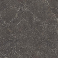 Eloria Anthracite Struktura Mat 119,8x119,8