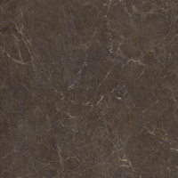 Eloria Brown Struktura Mat 119,8x119,8