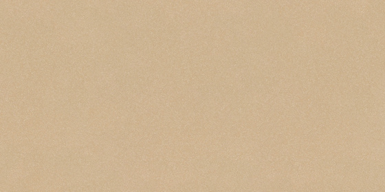 Moondust Mocca Polished 29,5x59,4