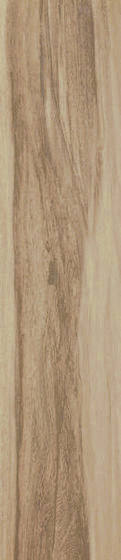 Baima Beige Mat 16x65,5