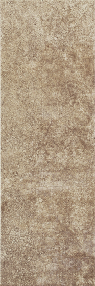 Twig Brown 20x60