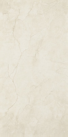Inspiration Beige 30x60