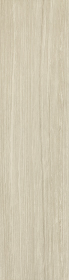 Eramosa Beige Mat 29,8x119,8
