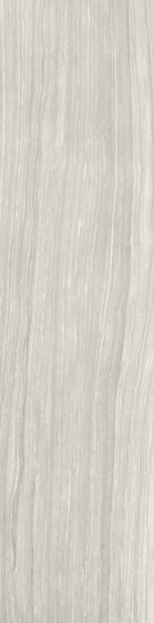Eramosa Grys Mat 29,8x119,8